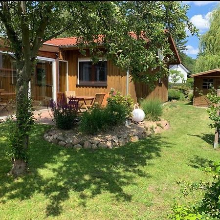 Ferienhaus In Absoluter Seenaehe Fuer 4 Personen Arendsee  Buitenkant foto